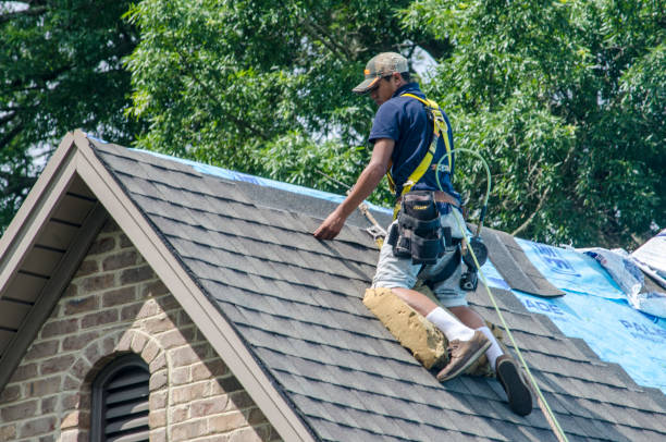 Best Storm Damage Roof Repair  in South Patrick Shores, FL