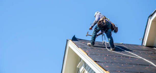 Best Roof Gutter Cleaning  in South Patrick Shores, FL